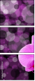 23152561