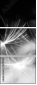 23180311