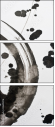 23695176