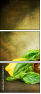 23807311