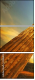 23840333