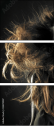 23870007