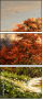24149531