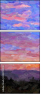 244702406