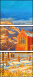 24602677
