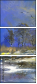 25086502