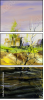 25136666