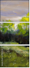 25159336