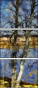 252232371