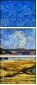 252232393
