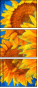 256376669