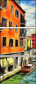256376686