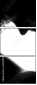 25952937