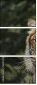 26122223