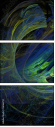 26166751