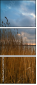 26174733