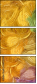 262126940