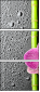26606581