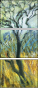 26973038