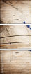 27029700