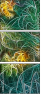 27337792