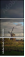 27403558