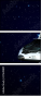 27649891
