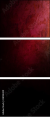 28158439