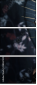 28267409