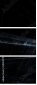 29024179