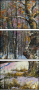 29134813