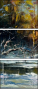 29135595