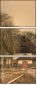29517510