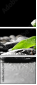 29543339