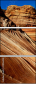 2956428