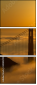 300812119