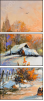 30277768