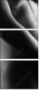 30291161