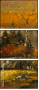 30493297