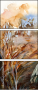 306217460