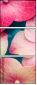 30909290