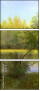 31192155
