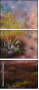 31218636