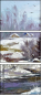 31220669