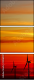 31269378