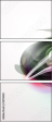 31276128