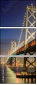 313371516