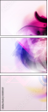 31395557