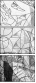 31753074