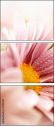 32108465